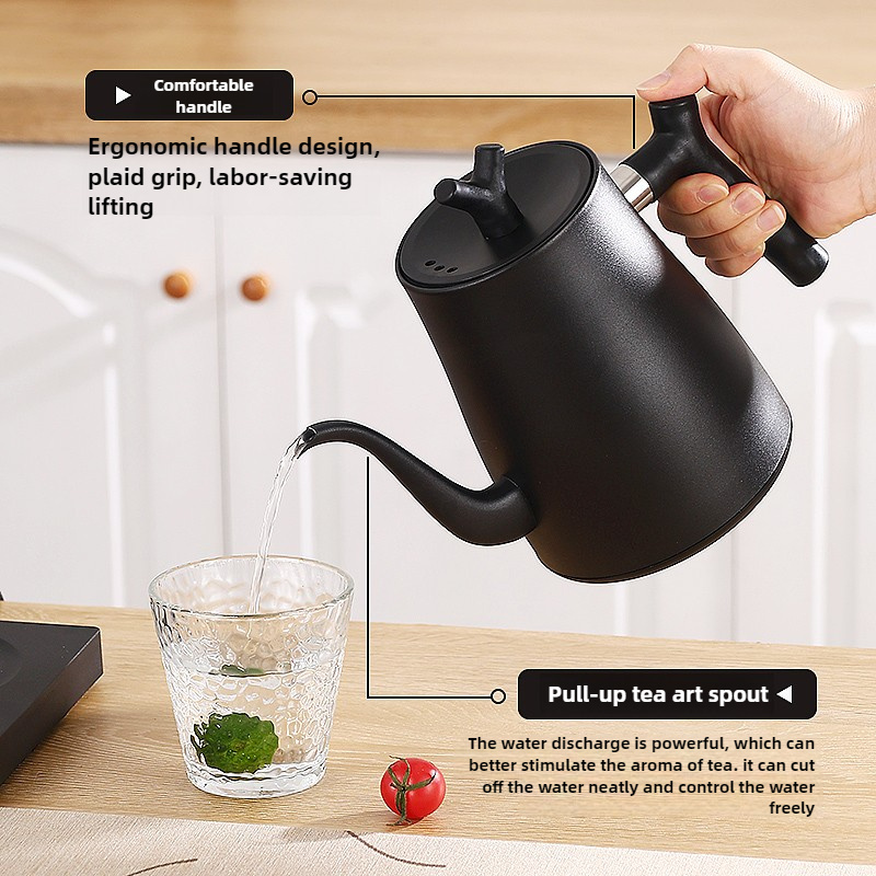 Bouilloire électrique à col de - Electric Kettle Temperature Control avis et prix